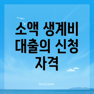소액 생계비 대출의 신청 자격
