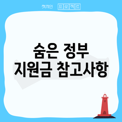 숨은 정부 지원금 참고사항