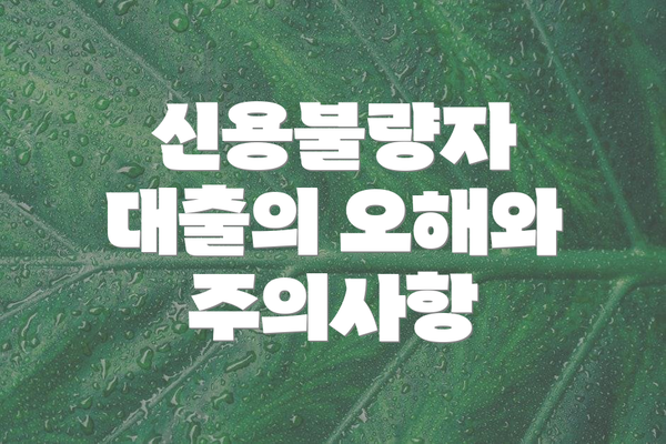 신용불량자 대출의 오해와 주의사항