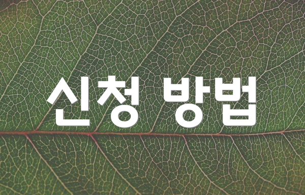 신청 방법