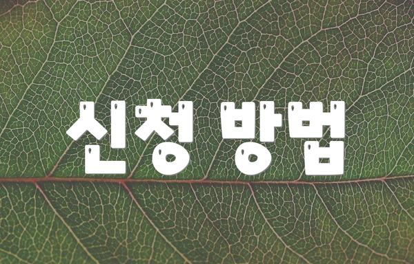 신청 방법