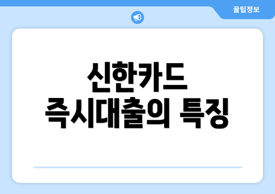 신한카드 즉시대출의 특징