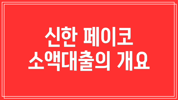 신한 페이코 소액대출의 개요
