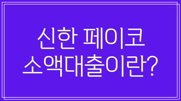 신한 페이코 소액대출이란?