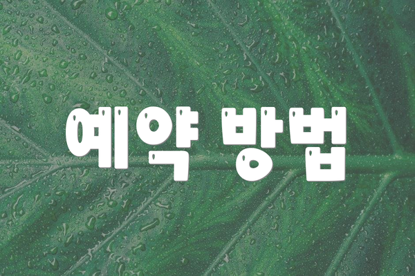예약 방법
