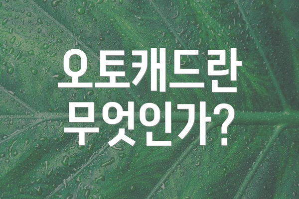 오토캐드란 무엇인가?