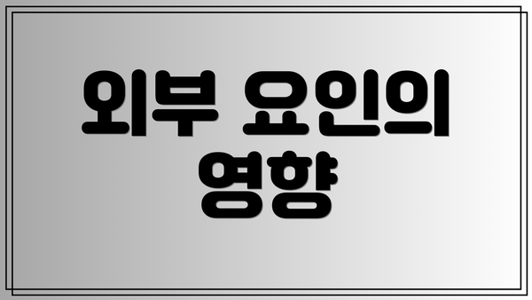 외부 요인의 영향