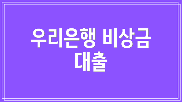 우리은행 비상금 대출