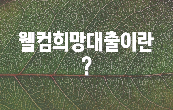 웰컴희망대출이란?