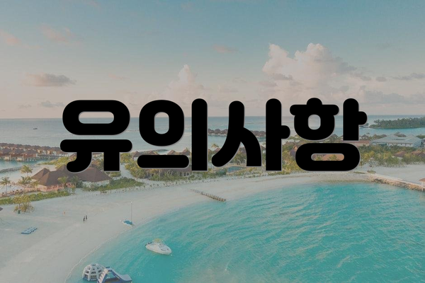 유의사항