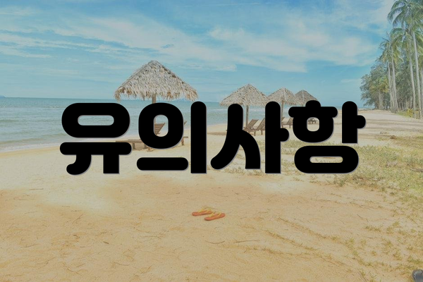 유의사항