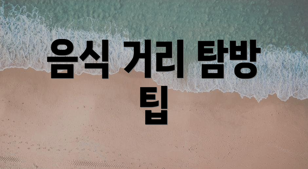 음식 거리 탐방 팁