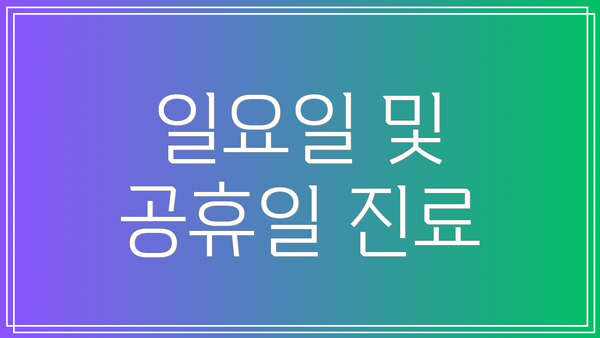 일요일 및 공휴일 진료