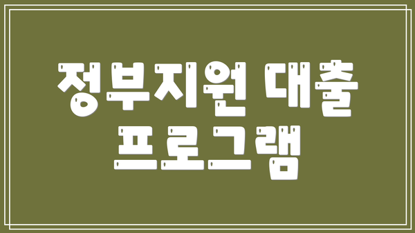 정부지원 대출 프로그램