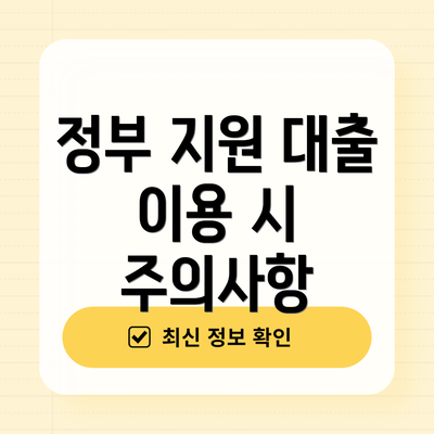 정부 지원 대출 이용 시 주의사항