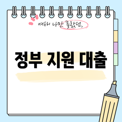 정부 지원 대출