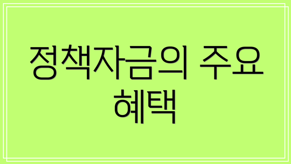 정책자금의 주요 혜택