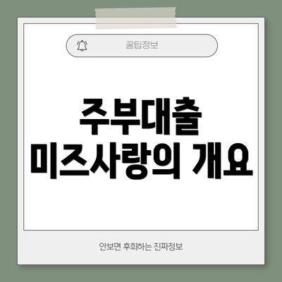 주부대출 미즈사랑의 개요