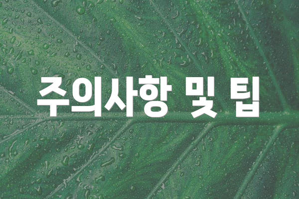 주의사항 및 팁