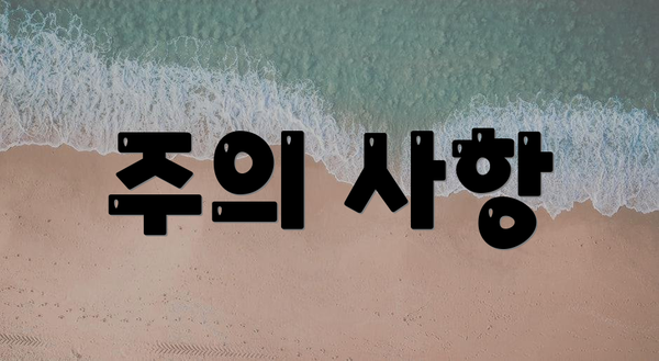 주의 사항