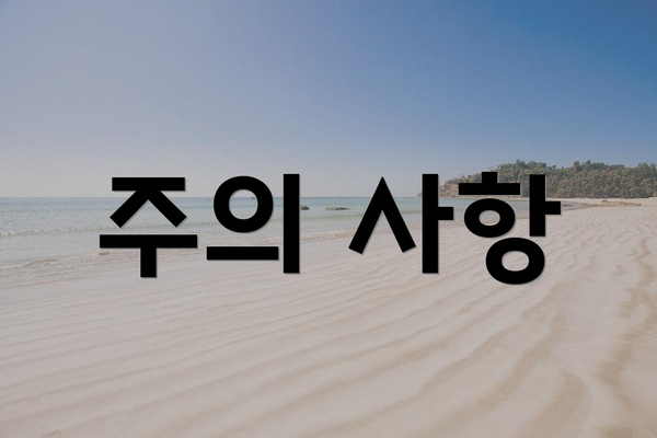 주의 사항