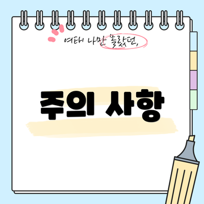 주의 사항