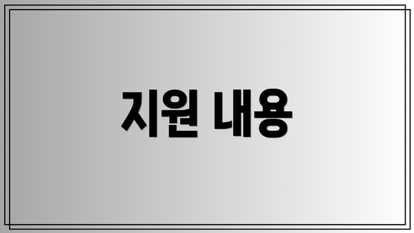 지원 내용