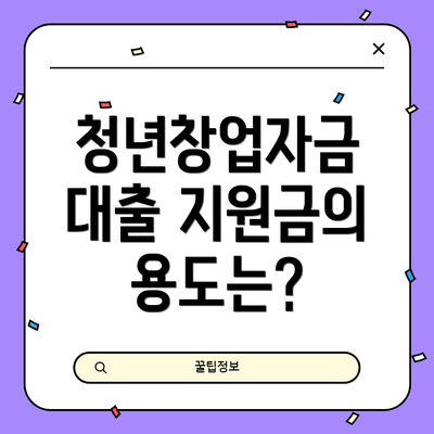 청년창업자금 대출 지원금의 용도는?