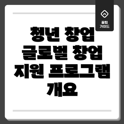 청년 창업 글로벌 창업 지원 프로그램 개요