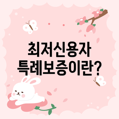 최저신용자 특례보증이란?