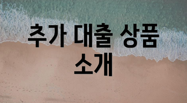 추가 대출 상품 소개