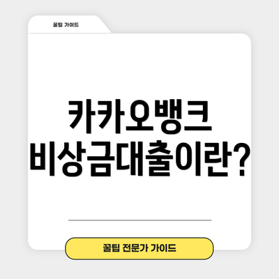 카카오뱅크 비상금대출이란?