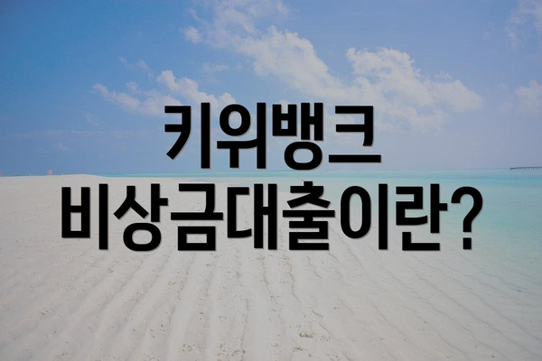 키위뱅크 비상금대출이란?