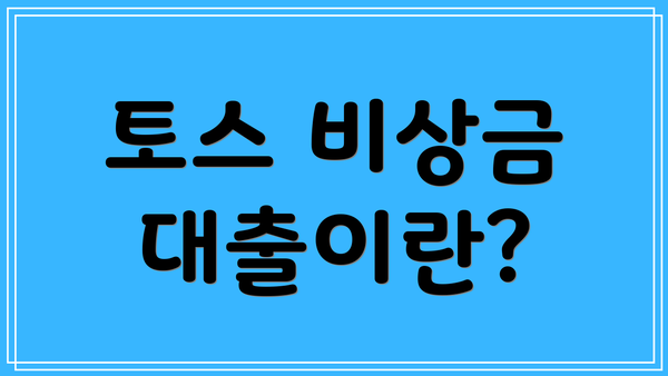 토스 비상금 대출이란?