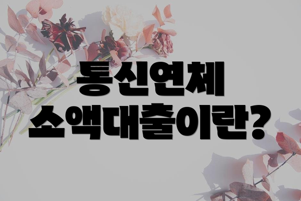 통신연체 소액대출이란?