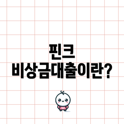 핀크 비상금대출이란?