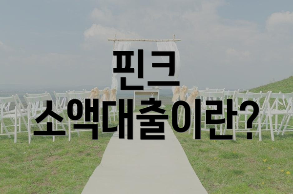 핀크 소액대출이란?