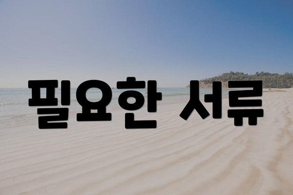 필요한 서류