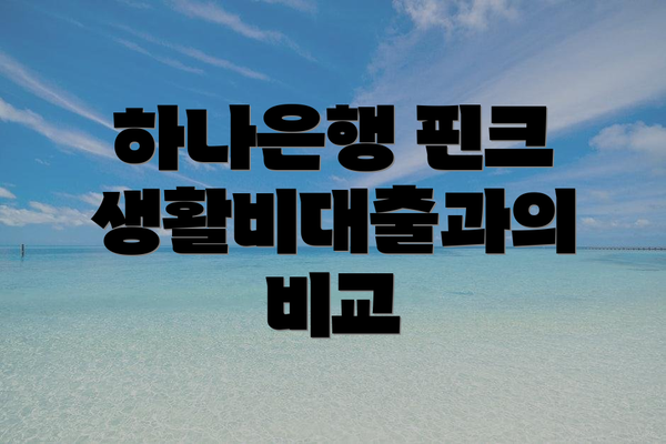 하나은행 핀크 생활비대출과의 비교