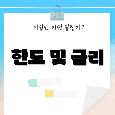 한도 및 금리