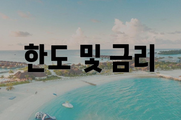 한도 및 금리