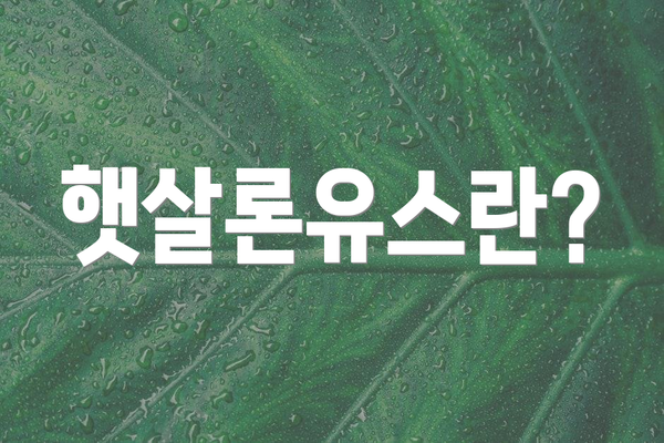 햇살론유스란?