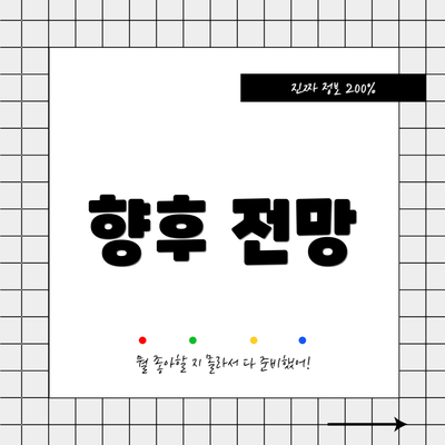 향후 전망