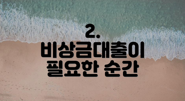 2. 비상금대출이 필요한 순간