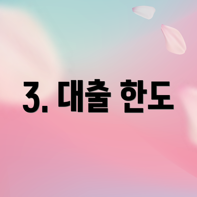 3. 대출 한도