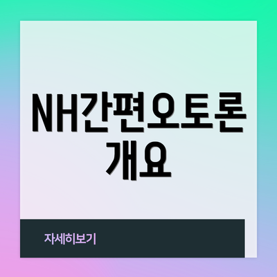 NH간편오토론 개요