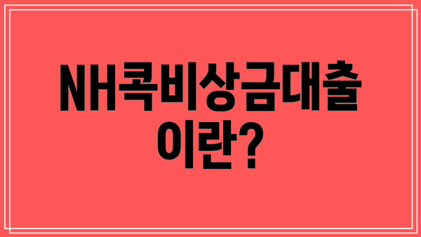 NH콕비상금대출이란?