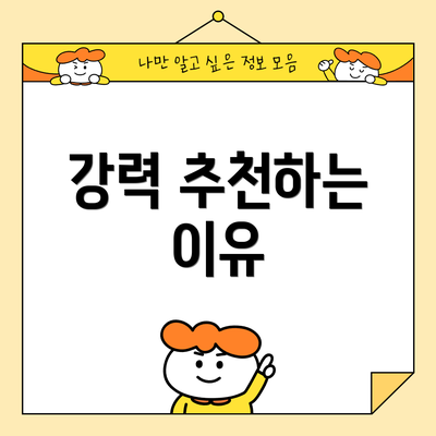 강력 추천하는 이유