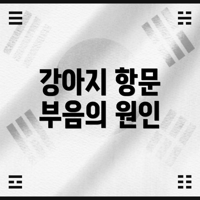강아지 항문 부음의 원인