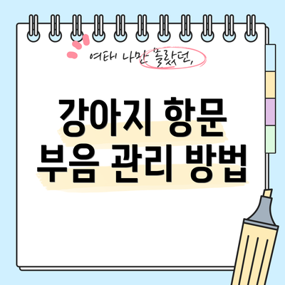 강아지 항문 부음 관리 방법